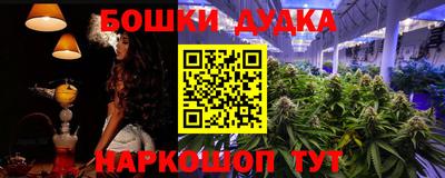стафф Пенза