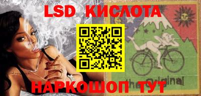 стафф Пенза
