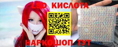 прущие грибы Партизанск