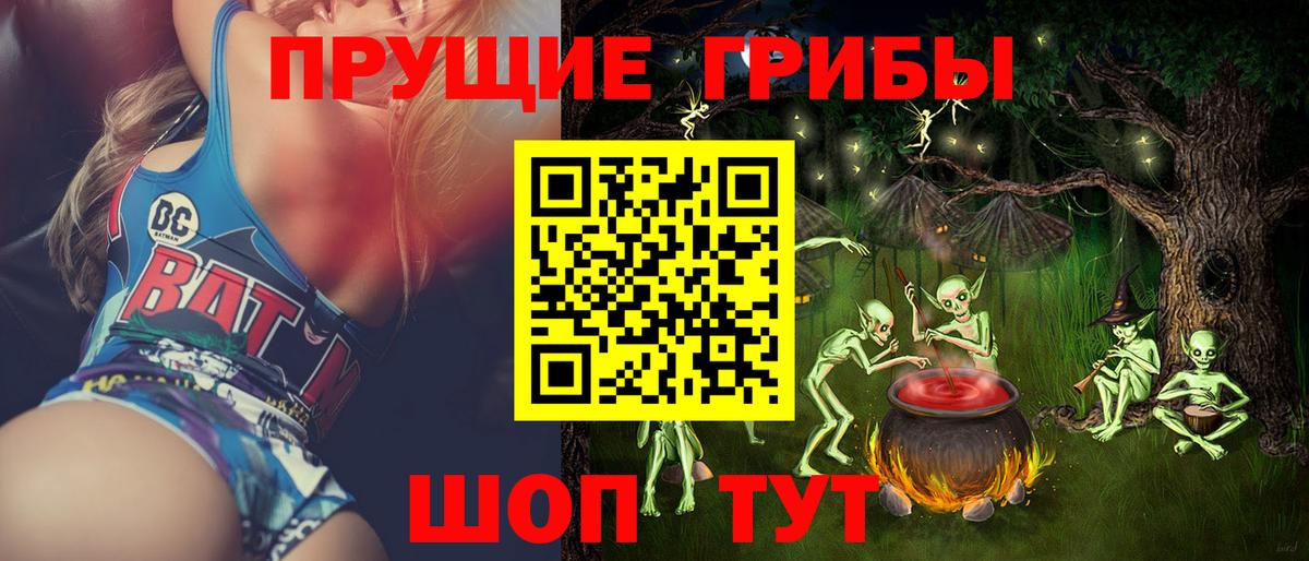 Псилоцибиновые грибы Psilocybine cubensis Петропавловск-Камчатский